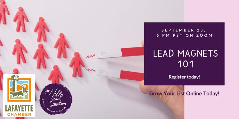 Lead Magnet 101: Grow Your List Online