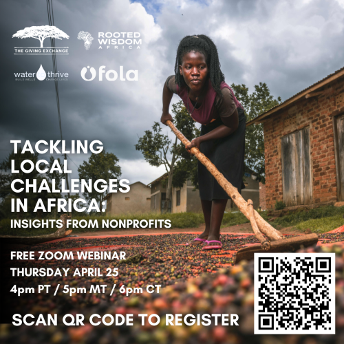 Tackling Local Challenges in Africa: Insights from Nonprofit