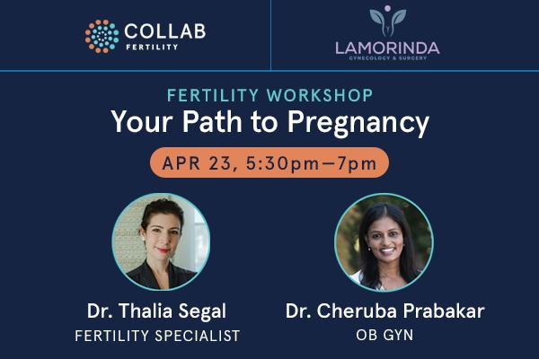 Fertility Workshop: Your Path to Pregnancy
