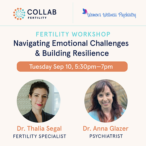 Free Fertility Workshop: Navigating Emotional Challenges