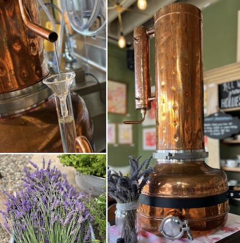 Distilling Herbs: Make Essential Oils & Hydrosols (4pm & 6pm